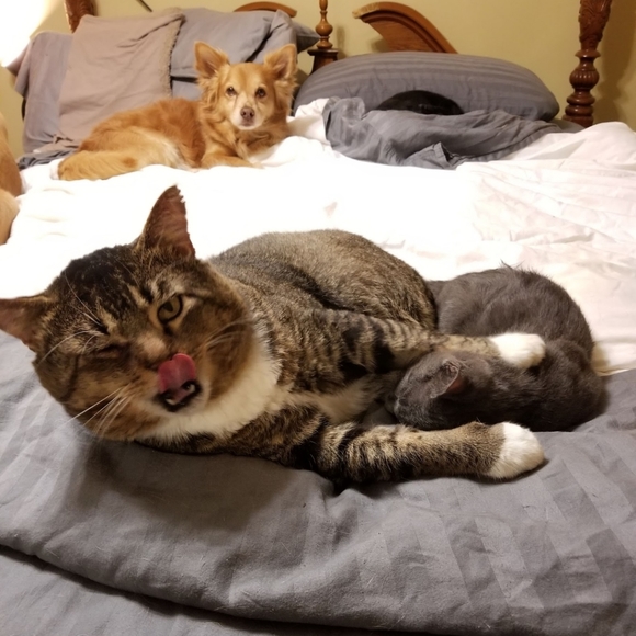 Meet your Posher, Mary - Picture 10 of 16